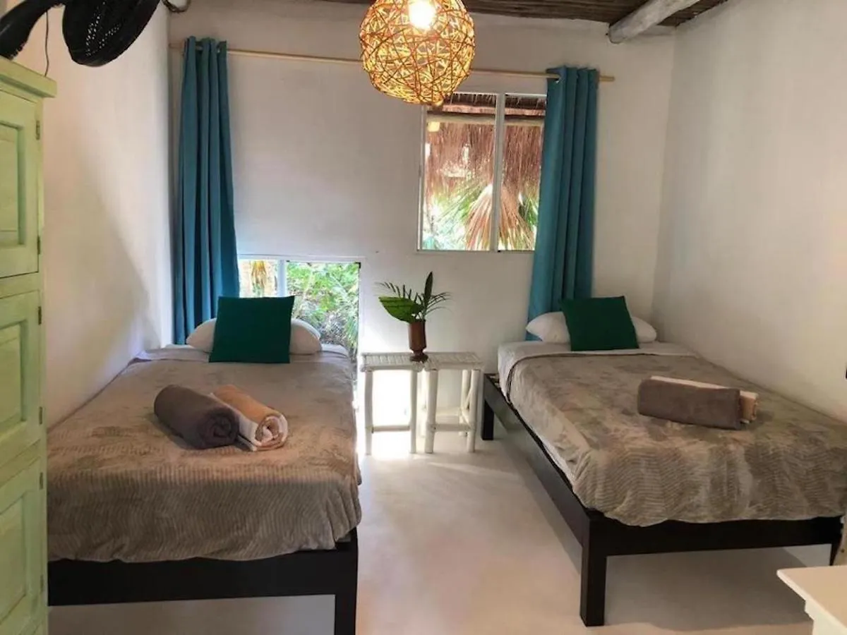 Hôtel Jungle Beach Tulum Mini-hôtel