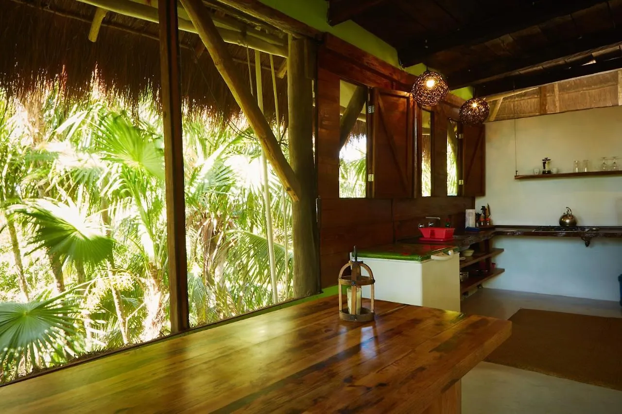 Mini-hôtel Hôtel Jungle Beach Tulum