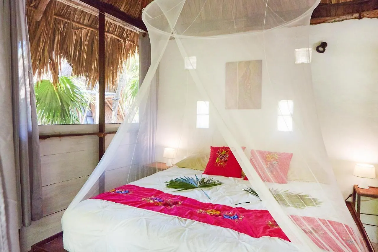 Hôtel Jungle Beach Tulum Mini-hôtel