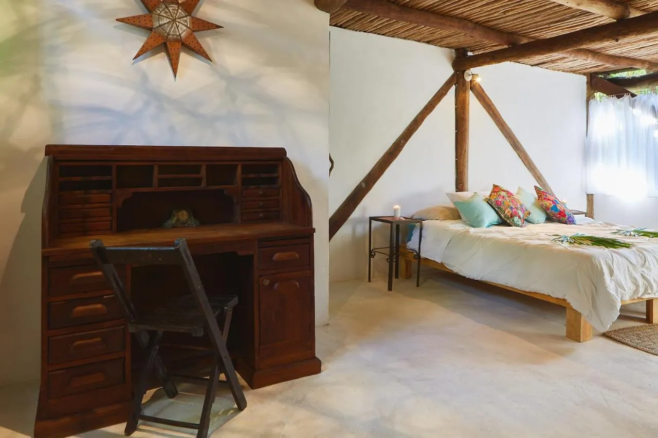 Mini-hôtel Hôtel Jungle Beach Tulum Mexique