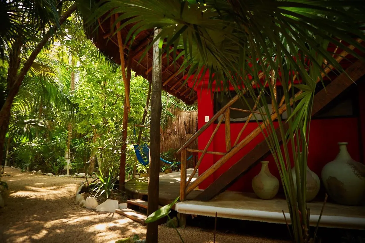 Mini-hôtel Hôtel Jungle Beach Tulum