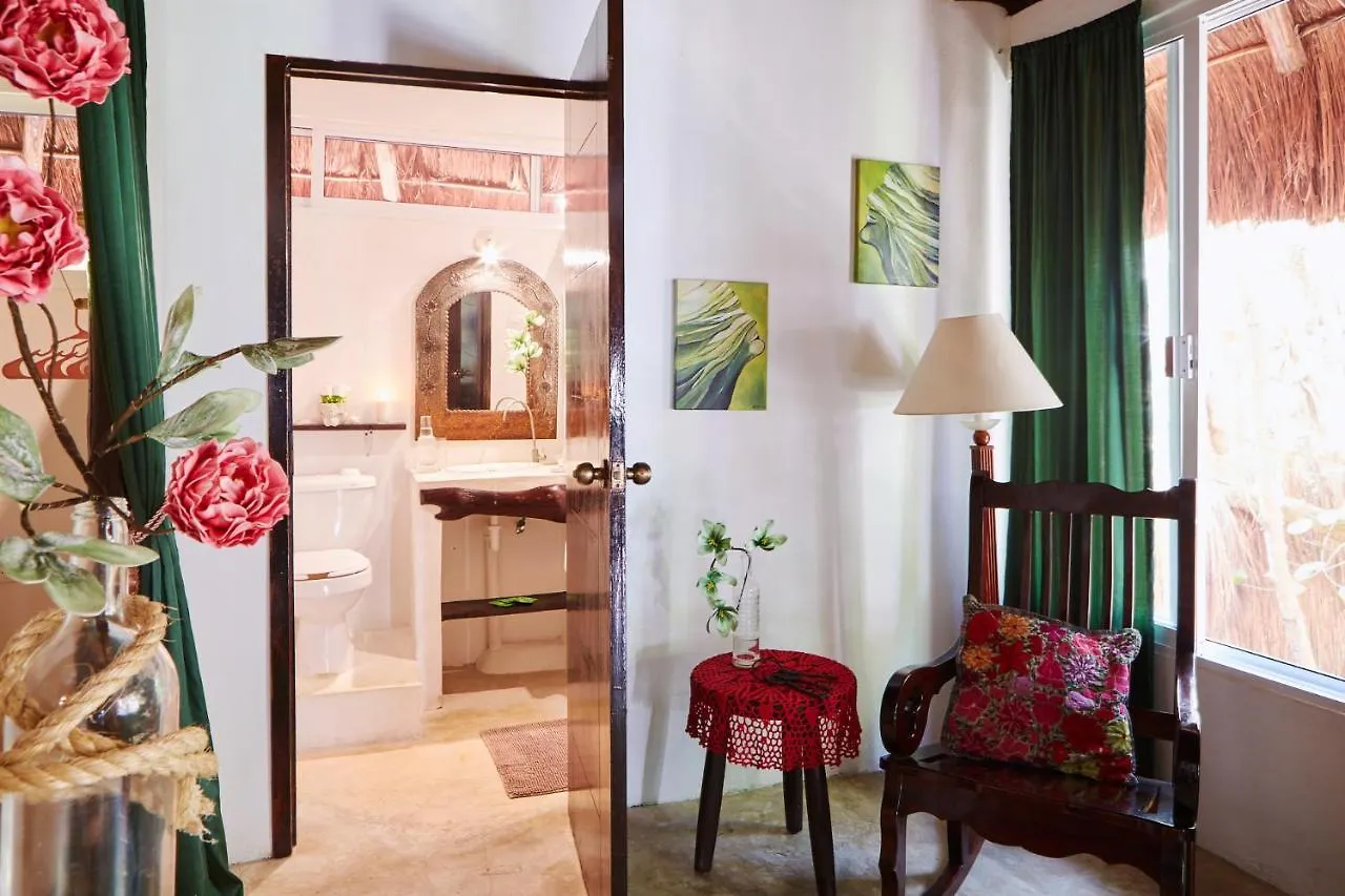 Hôtel Jungle Beach Tulum 0*,  Mexique