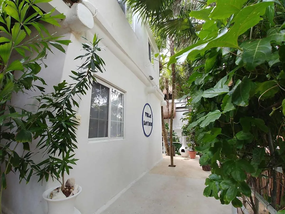 Hôtel Jungle Beach Tulum 0*,