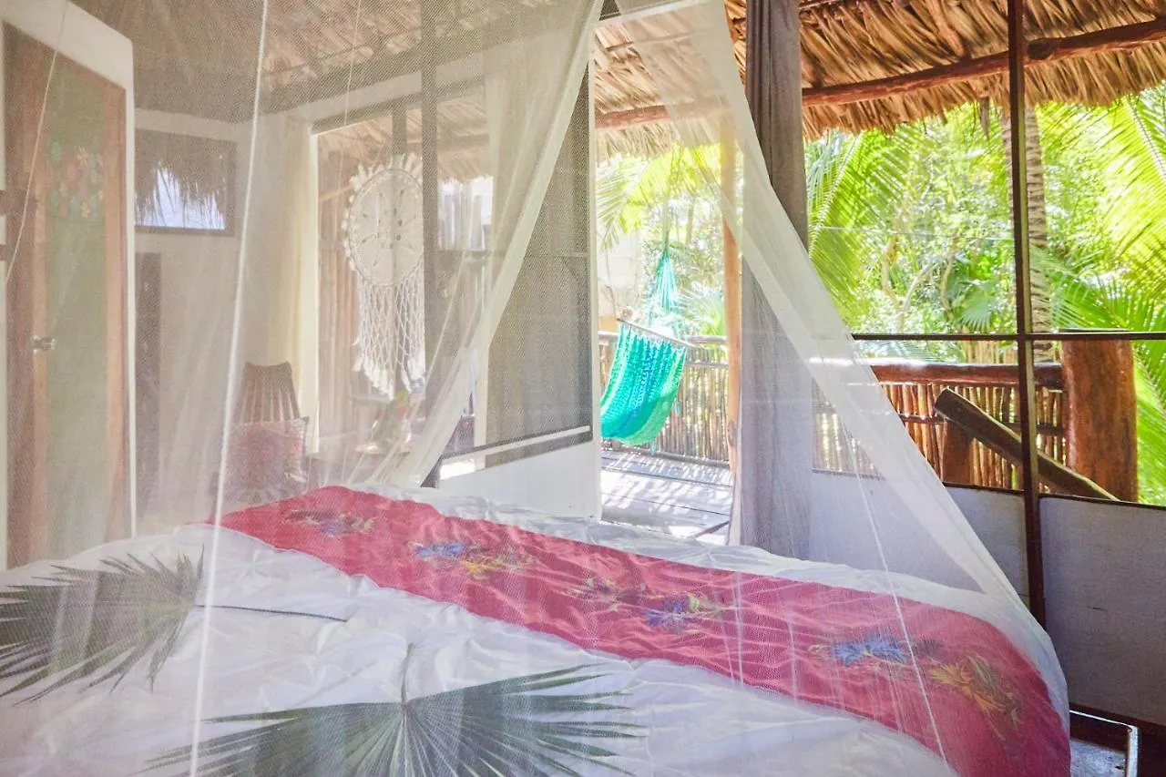 Mini-hôtel Hôtel Jungle Beach Tulum Mexique