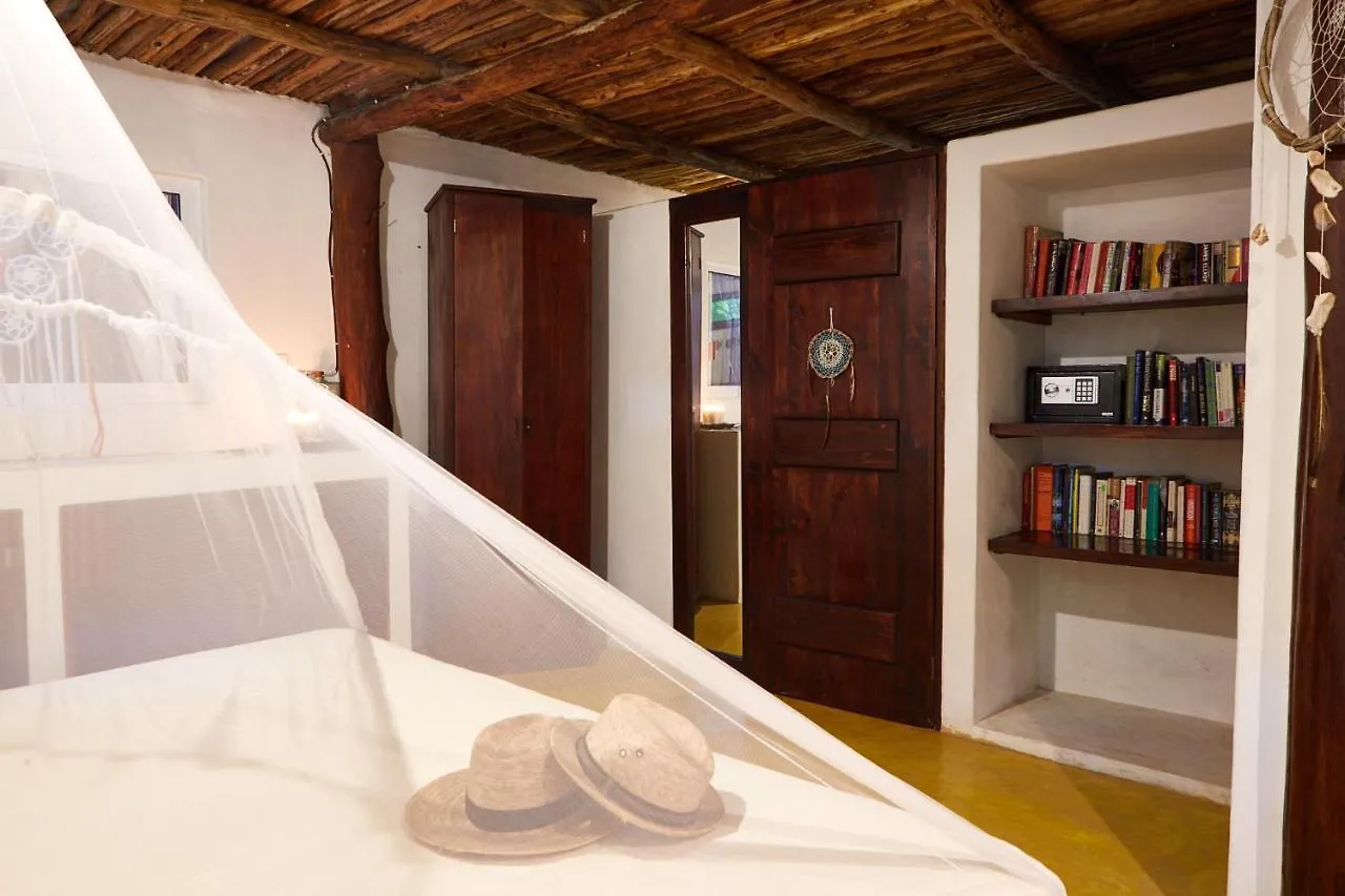 Hôtel Jungle Beach Tulum