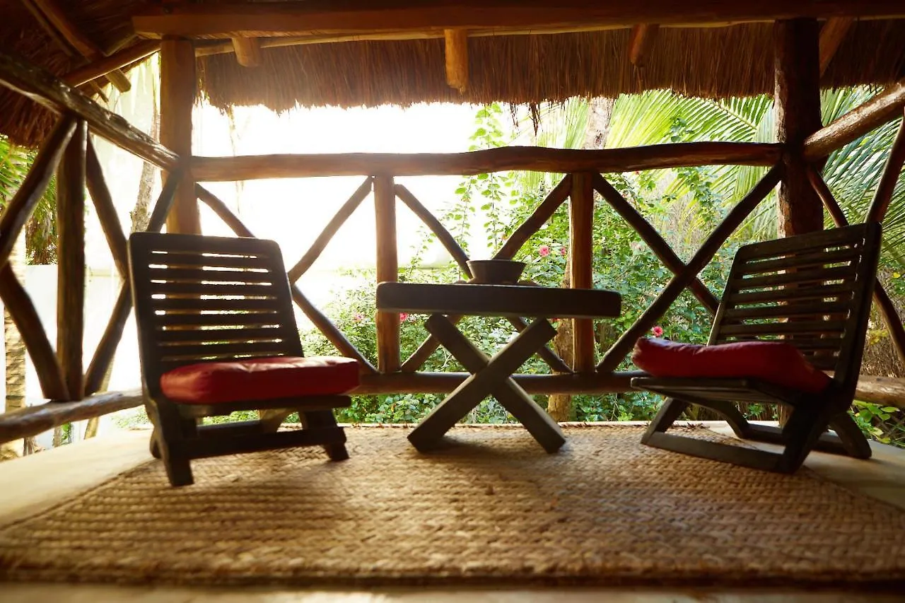 Hôtel Jungle Beach Tulum 0*,  Mexique